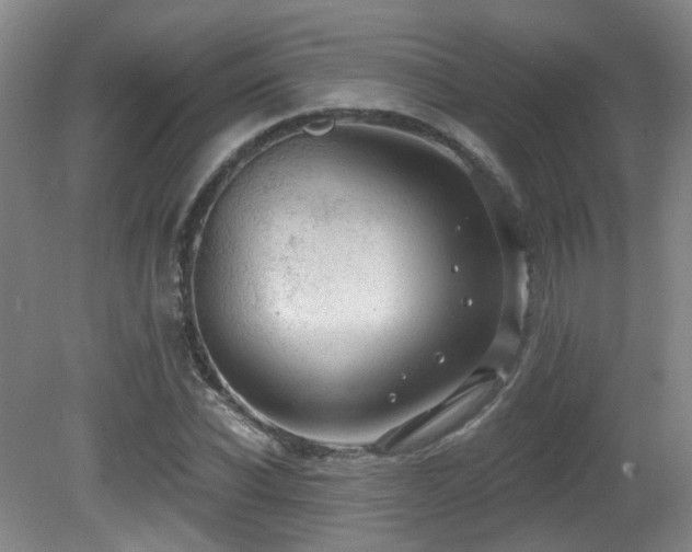 X0000081580926200701151239