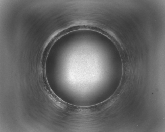 X0000081580927200701151239