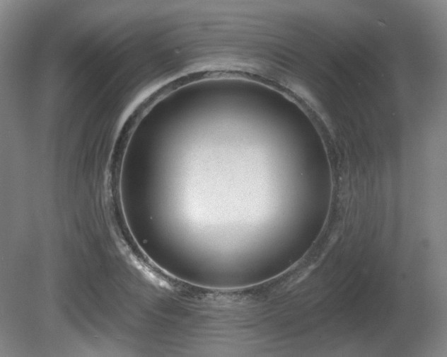 X0000081580928200701151239