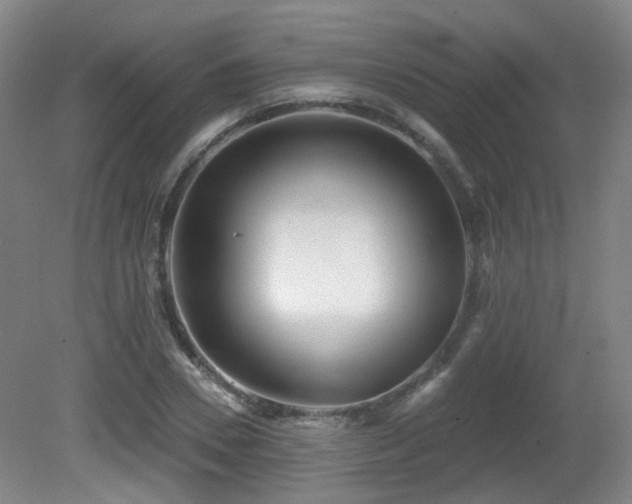 X0000081580930200701151239