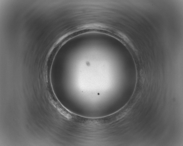 X0000081580931200701151239