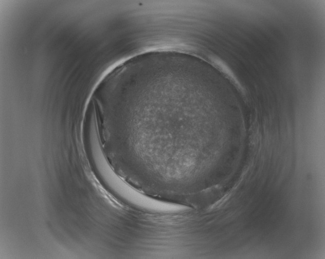 X0000081580932200701151239