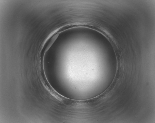 X0000081580933200701151239