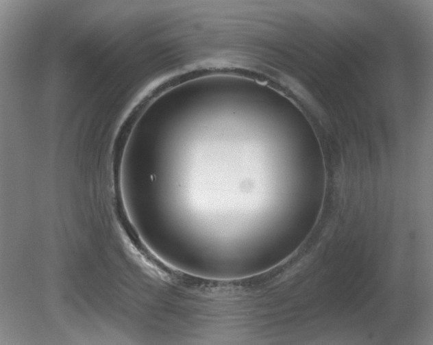 X0000081580934200701151239