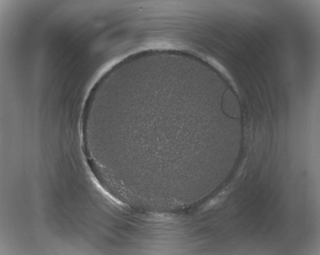 X0000081580935200701151239