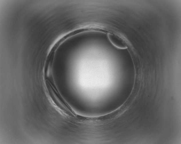 X0000081580936200701151239