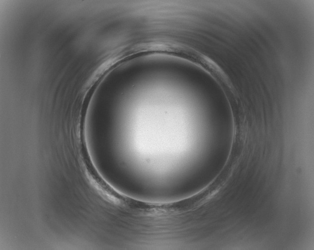 X0000081580938200701151239