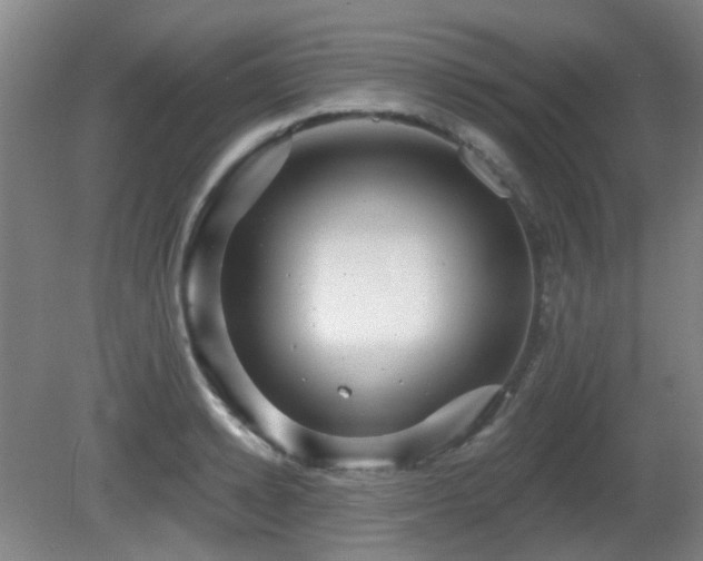 X0000081580942200701151239