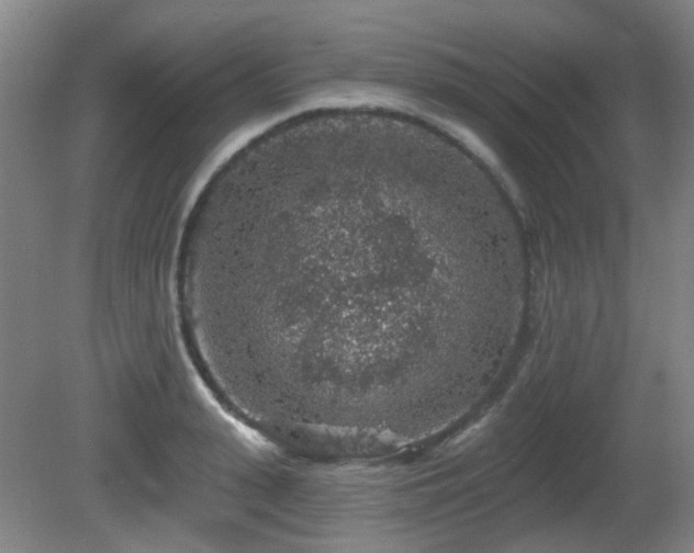 X0000081580943200701151239