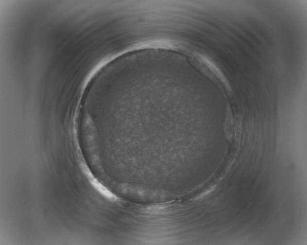 X0000081580944200701151239