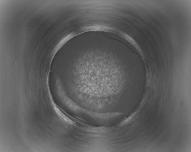 X0000081580946200701151239