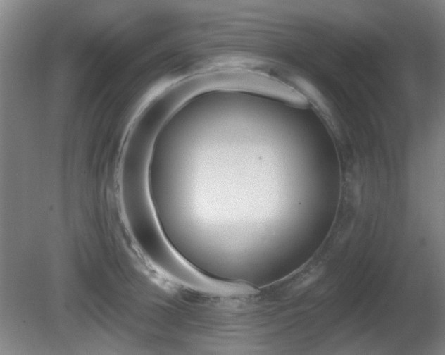 X0000081580948200701151239