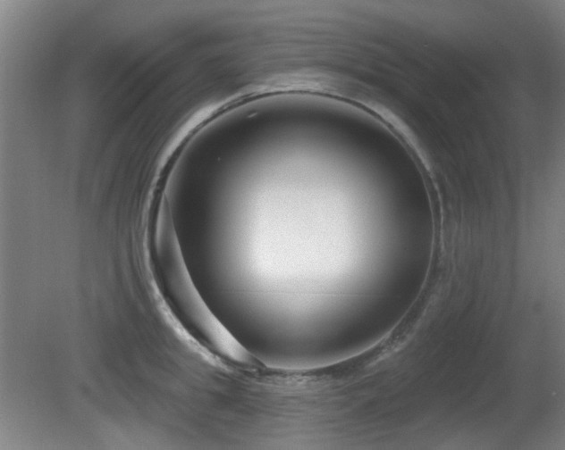 X0000081580949200701151239