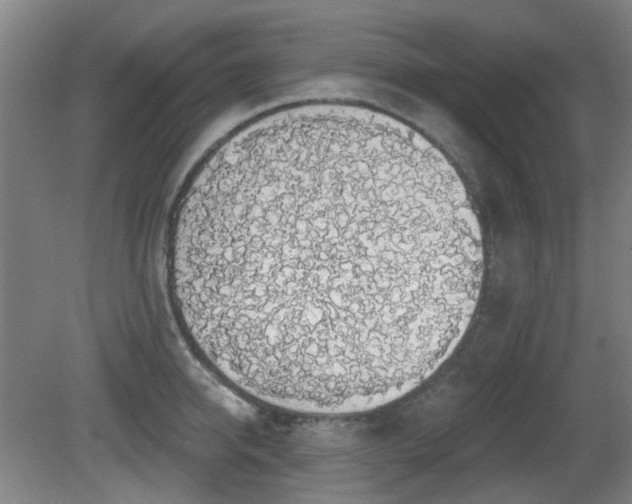 X0000081580950200701151239