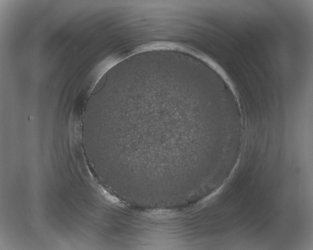 X0000081580953200701151239