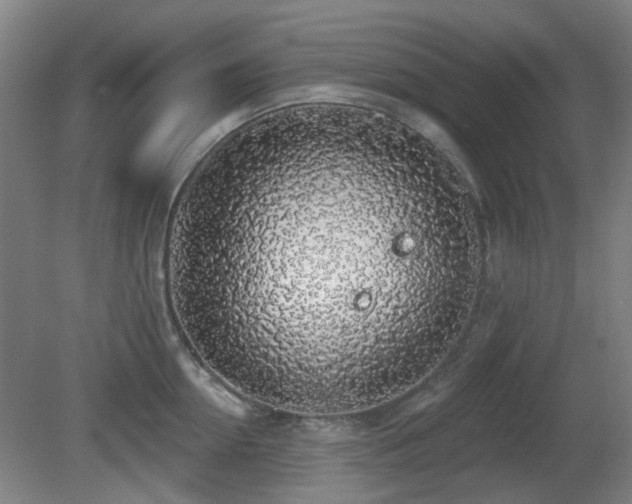 X0000081580954200701151239