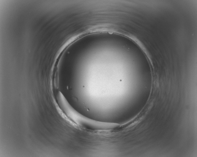 X0000081580957200701151239