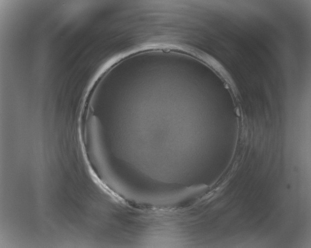 X0000081580958200701151239