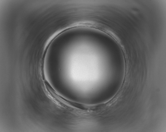 X0000081580960200701151239