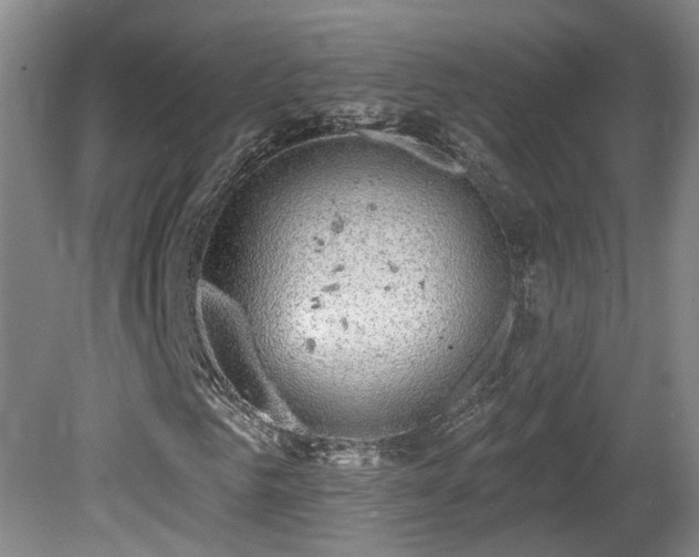 X0000081580961200701151239