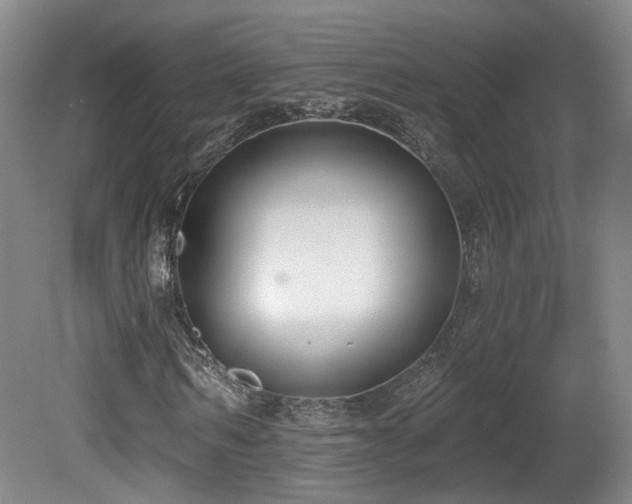 X0000081580962200701151239