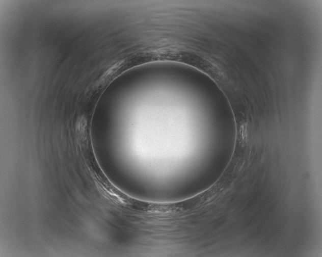 X0000081580963200701151239