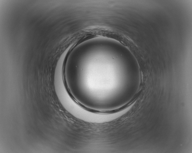 X0000081580965200701151239