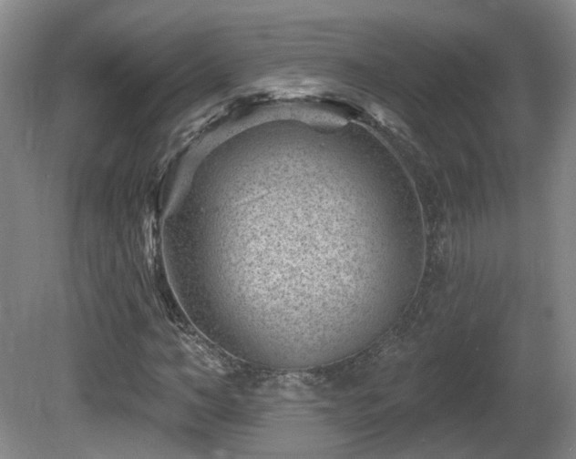 X0000081580966200701151239