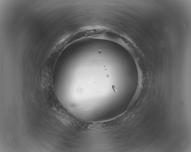 X0000081580967200701151239