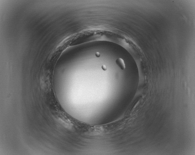 X0000081580968200701151239