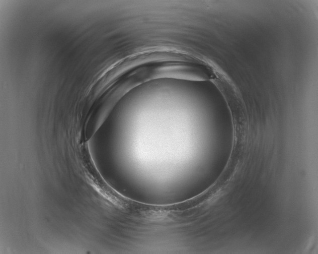 X0000081580969200701151239