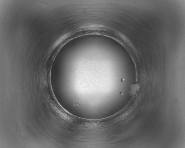 X0000081580970200701151239