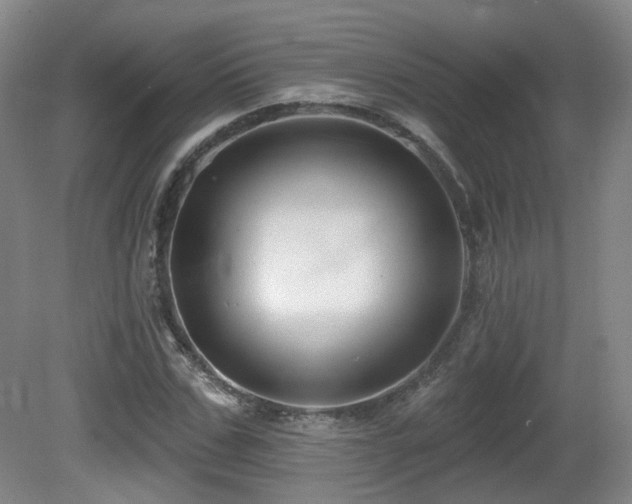 X0000081580971200701151238