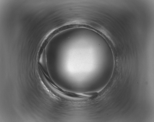 X0000081580972200701151238