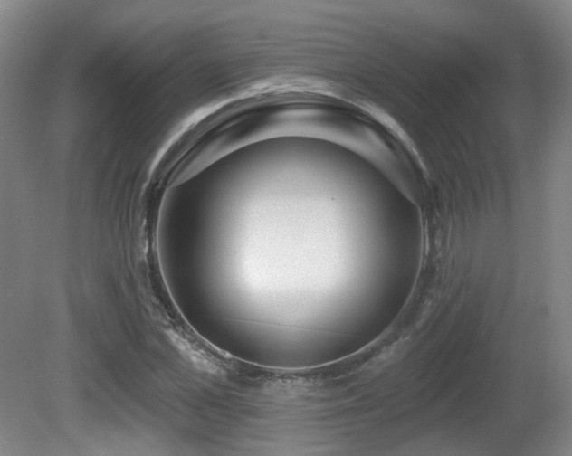 X0000081580973200701151238