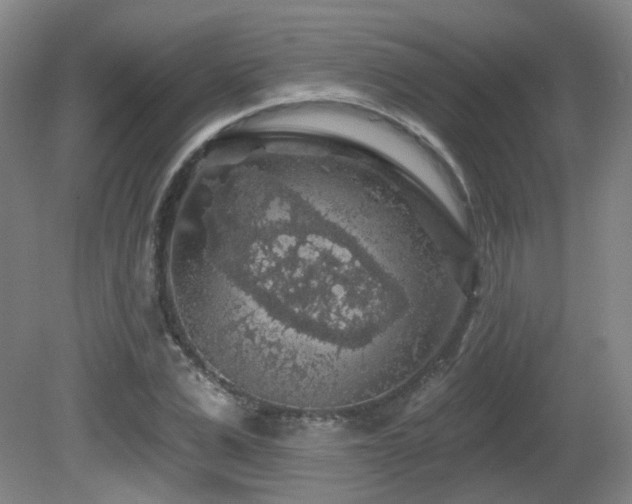 X0000081580975200701151238