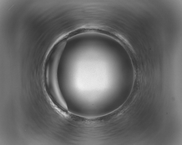 X0000081580976200701151238