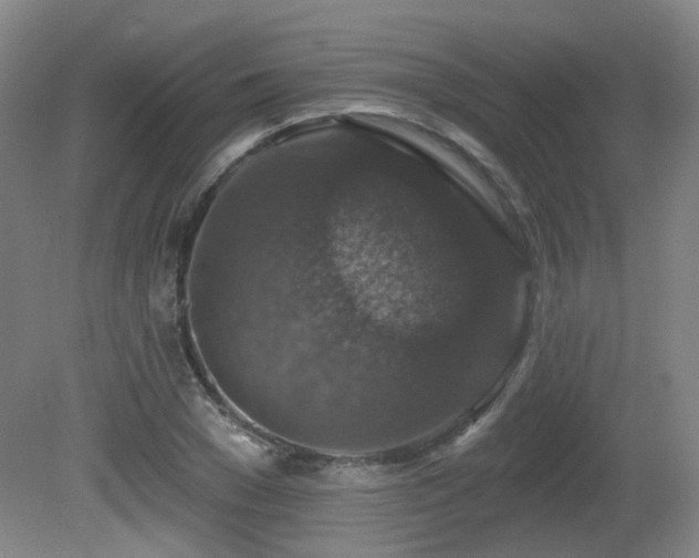 X0000081580977200701151238