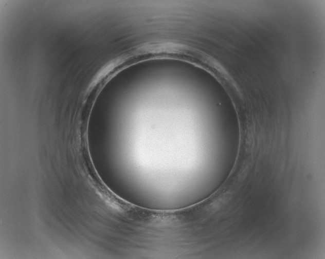 X0000081580978200701151238