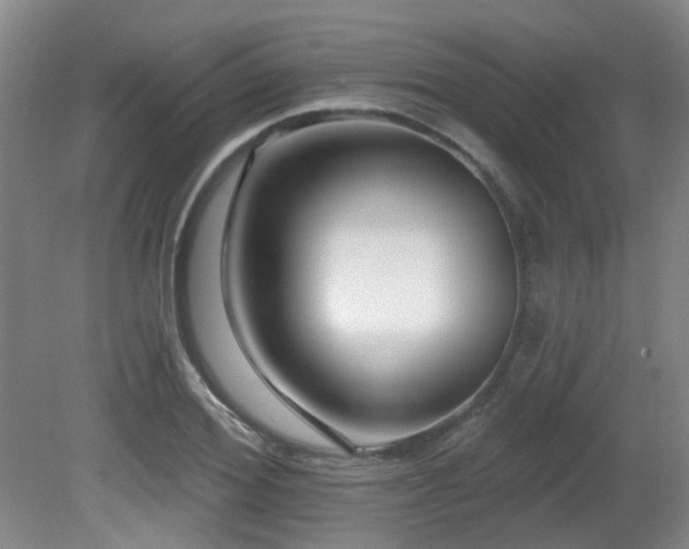 X0000081580980200701151238