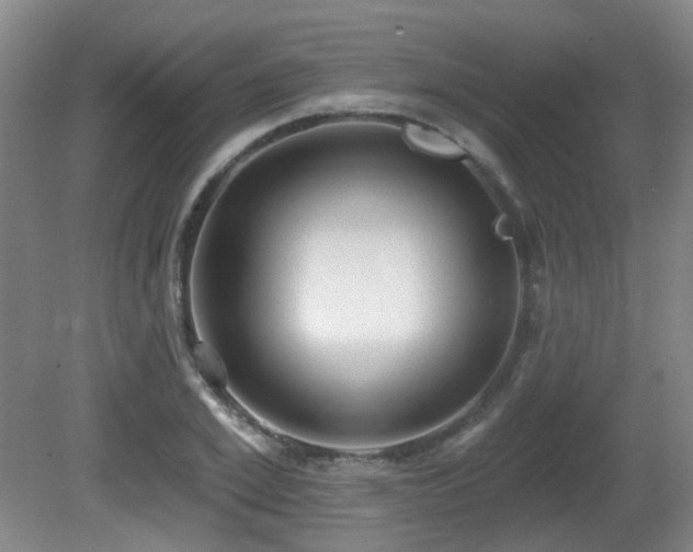 X0000081580981200701151238