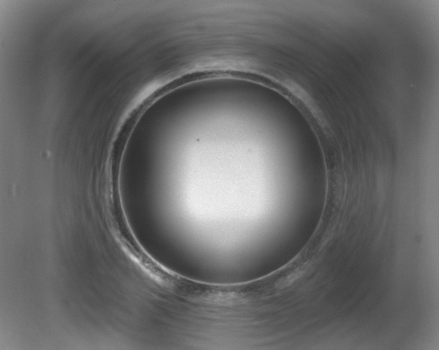 X0000081580982200701151238