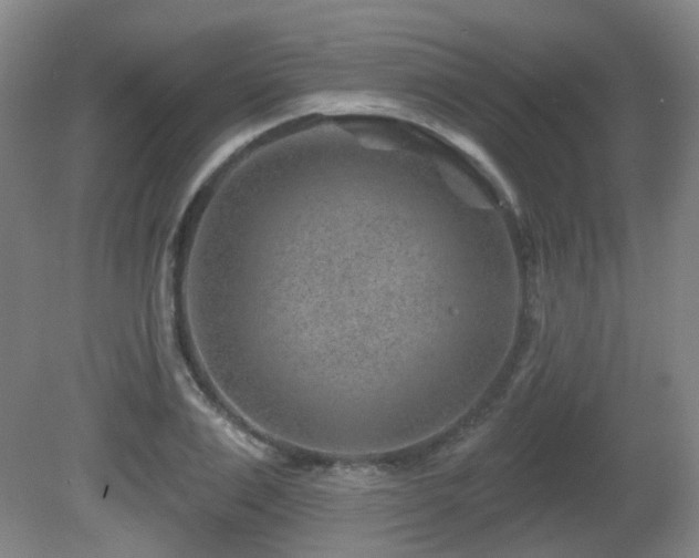 X0000081580983200701151238