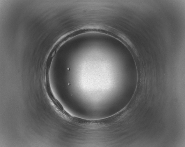 X0000081580984200701151238