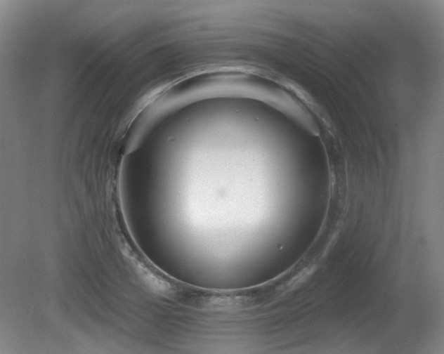 X0000081580985200701151238