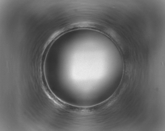 X0000081580986200701151238