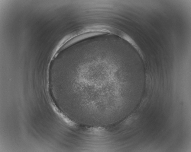 X0000081580994200701151238