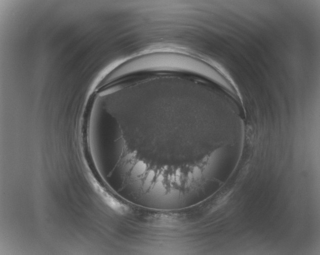 X0000081580995200701151238