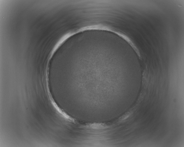 X0000081580998200701151238