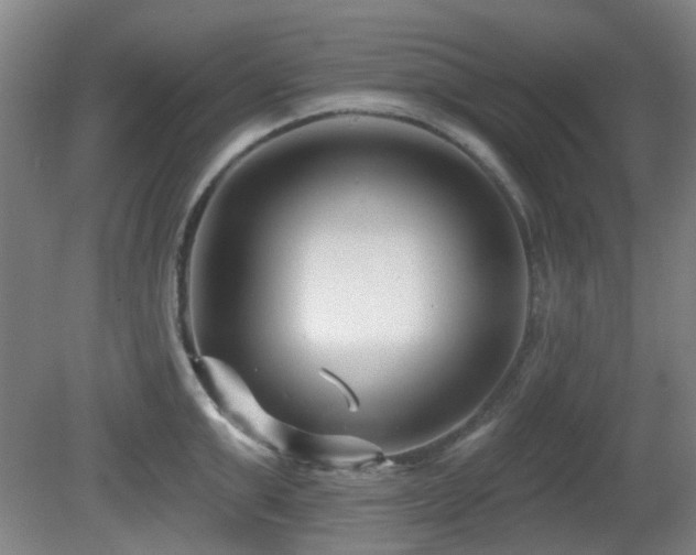 X0000081580999200701151238